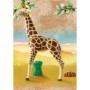 Girafa